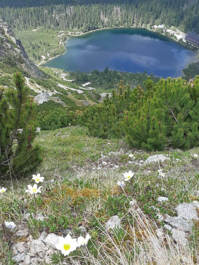 Rodinny Privatny Apartman A309 V Uplnom Centre Stareho Smokovca - Ticha Izba S Parkovanim Vysoké Tatry Dış mekan fotoğraf